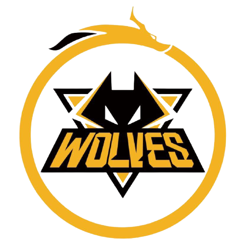 在现有战术 在现有战术