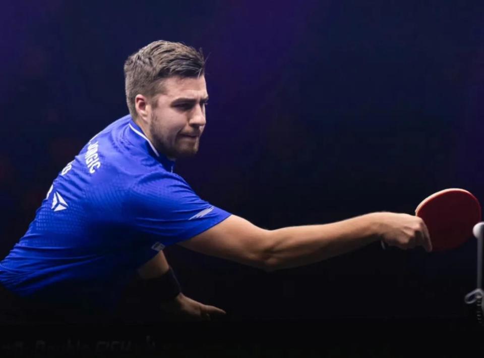 羽坛上耀眼 羽坛上耀眼