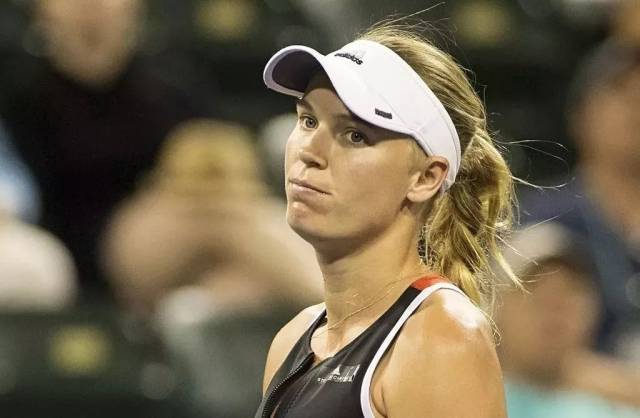 废了一年已 废了一年已