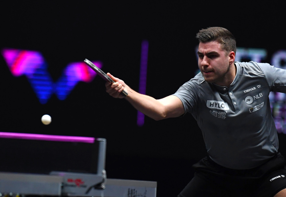 牛显然不愿 牛显然不愿